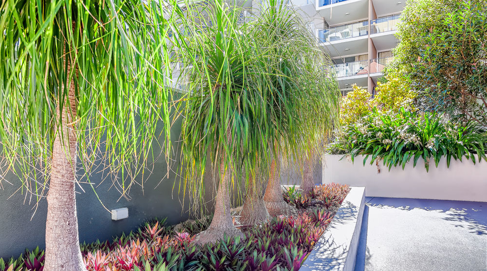 Trilogy Residences Brisbane Exteriér fotografie